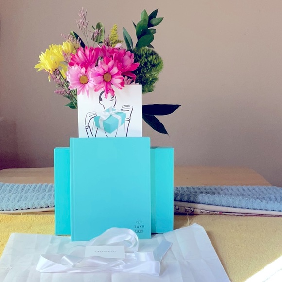 📙 TIFFANY & CO. NOTEBOOK 📒 NWOT📕 - Picture 1 of 16